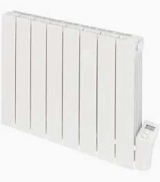 Radiateur à inertie